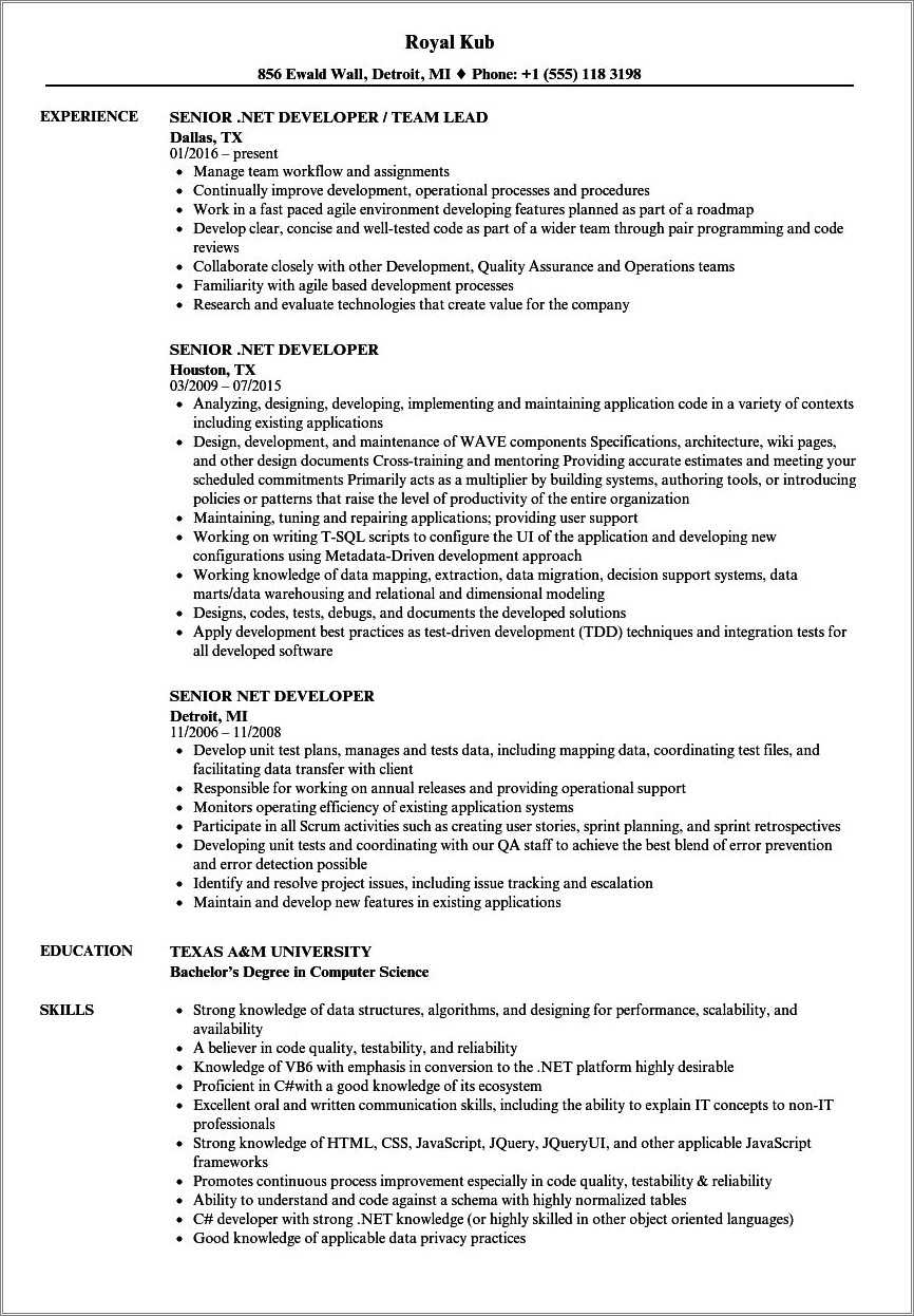 2 Years Experience Resume For Net