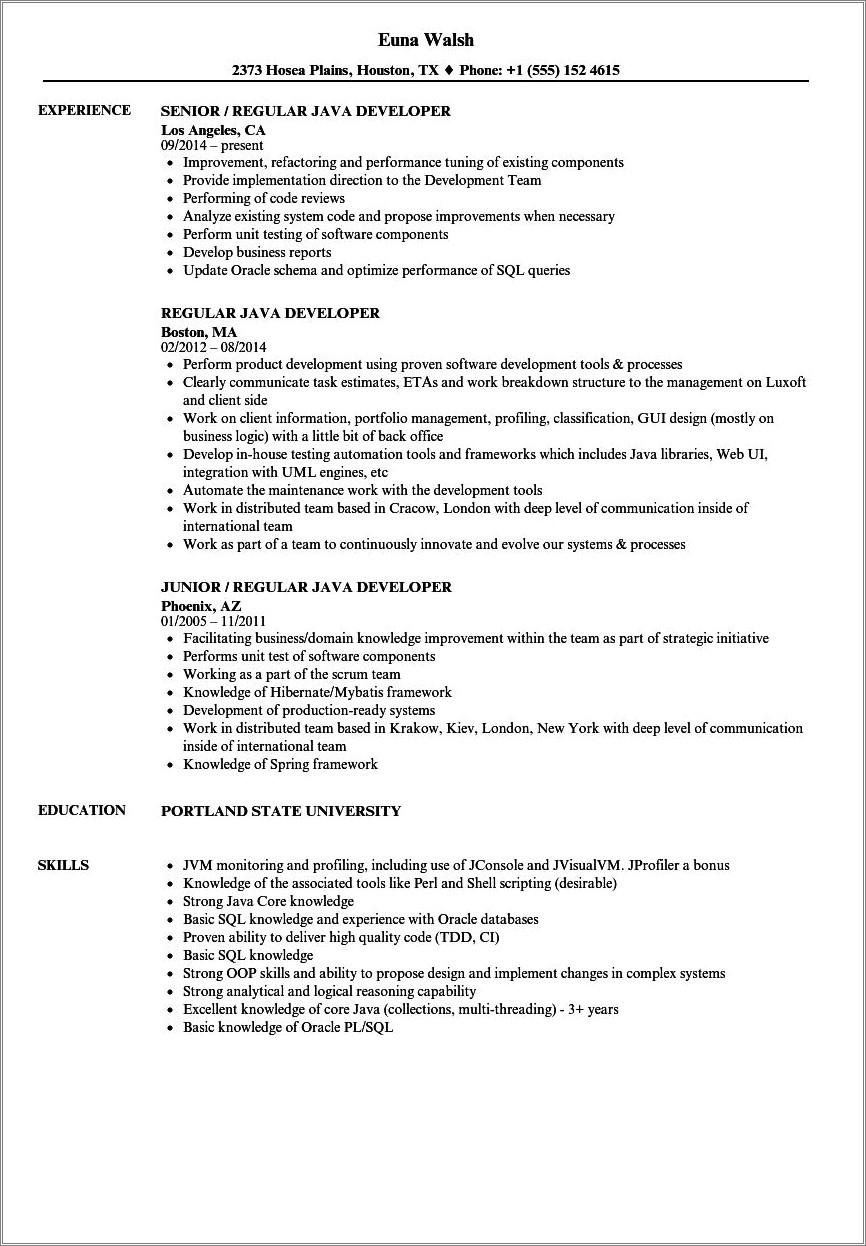 3 Year Java Experience Resume Format