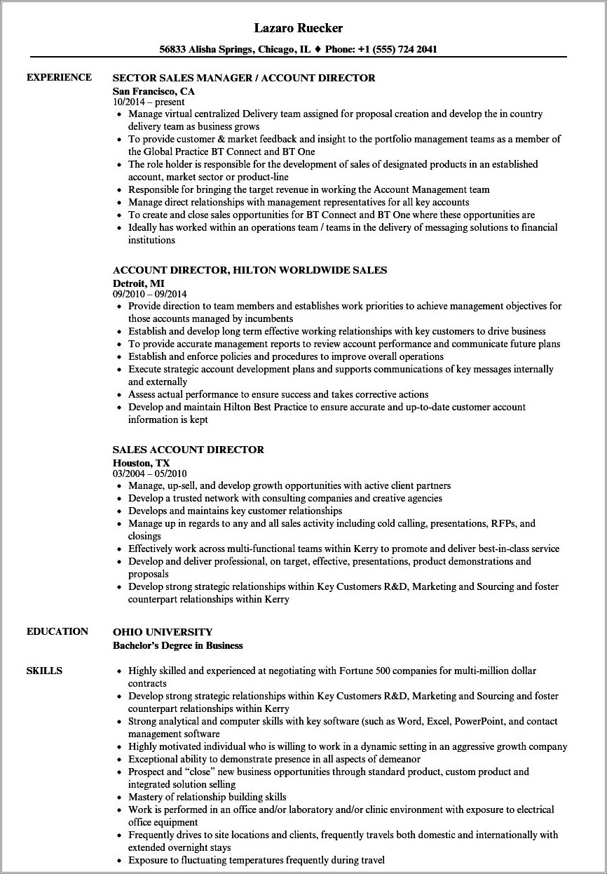 Advertising Account Director Resume Example