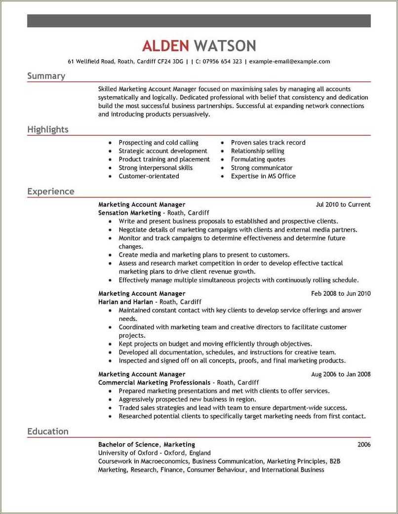 Advertising Account Director Resume Examples