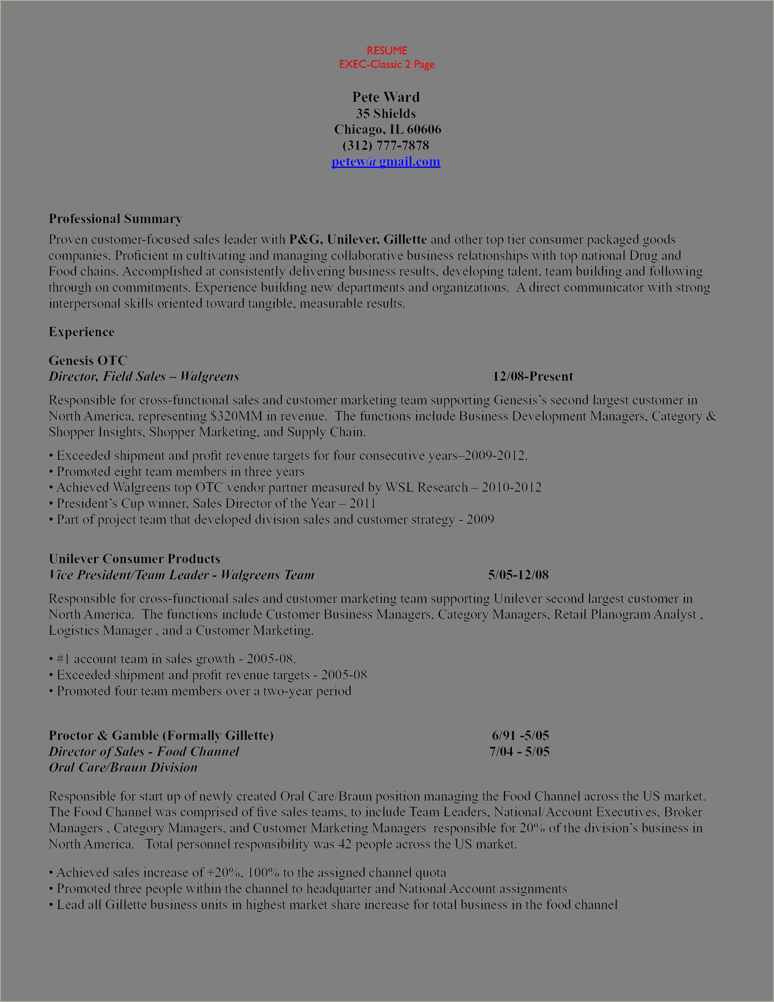 Advertising Account Manager Resume Example