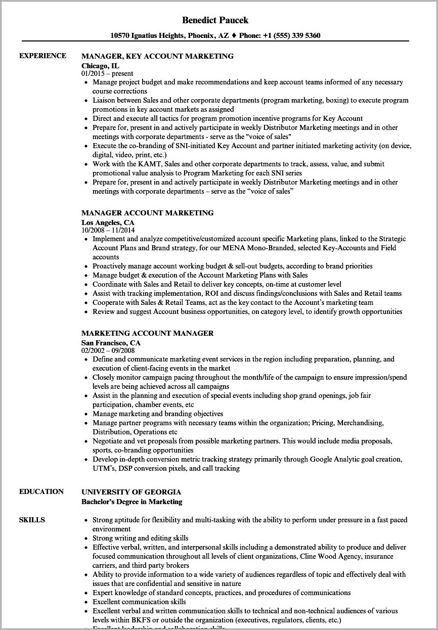 Advertising Account Manager Resume Objective