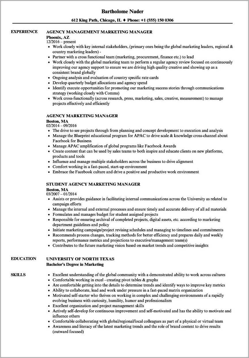 Advertising Agency Account Manager Resume Sample