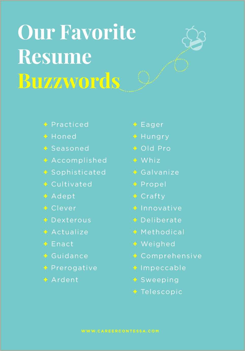 another word for new resume
