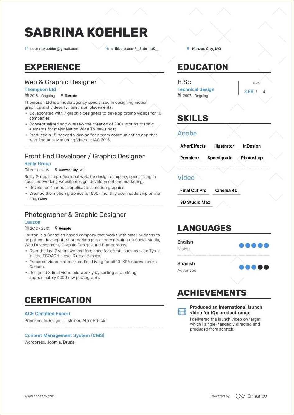 Art Director Resume Objective Examples Resume Example Gallery