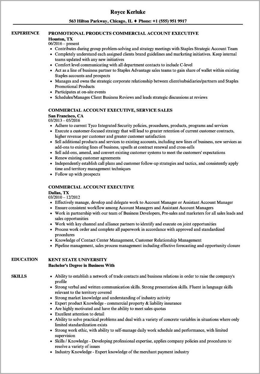 insurance-account-manager-resume-template-resume-example-gallery