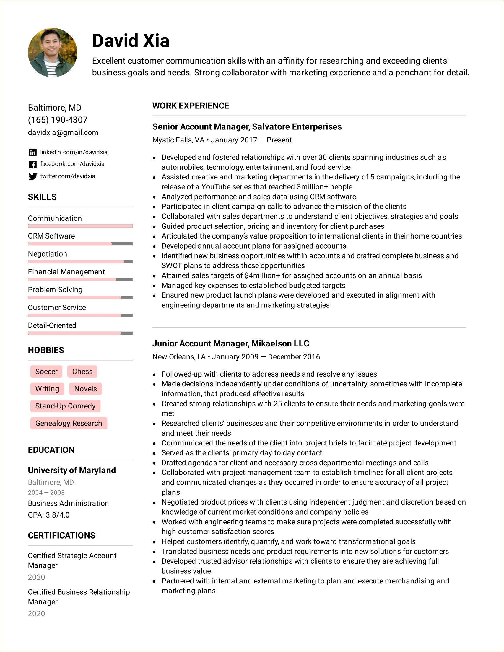 Best Advertising Account Director Resume