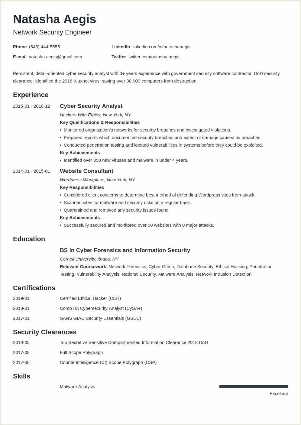 Best Cyber Security Analyst Resumes