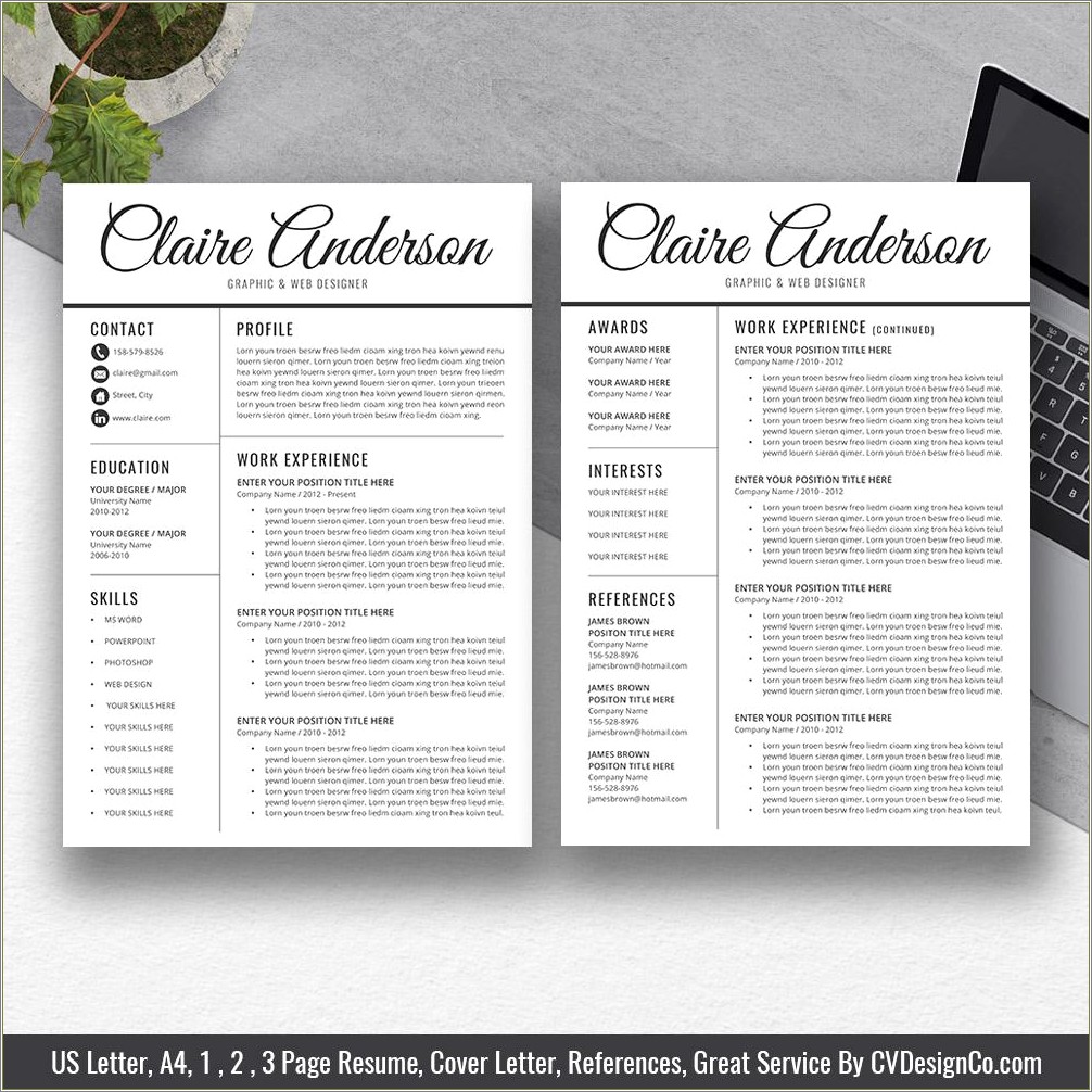 Best Free Professional Resume Templates For Ms Word