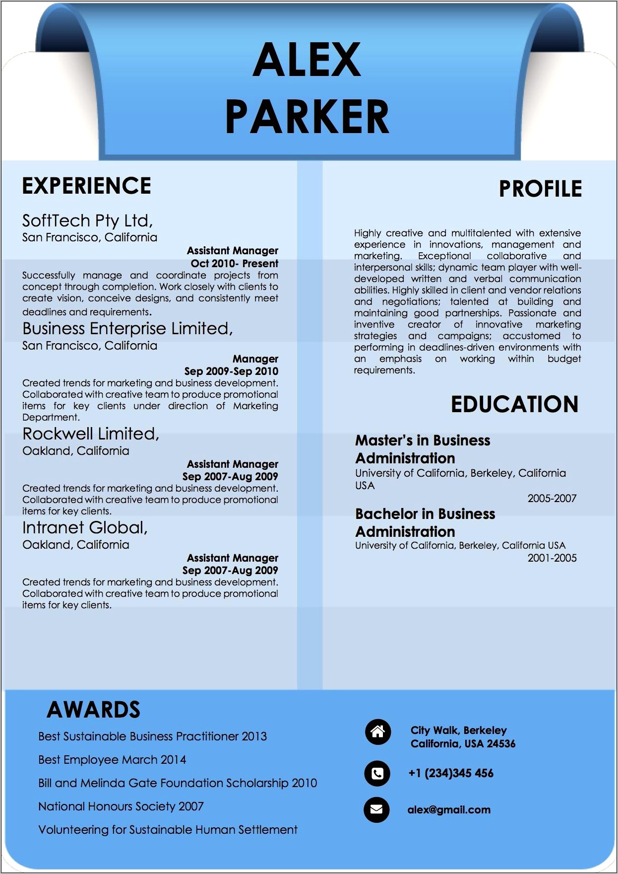 Best Professional Resume Format 2014 Resume Example Gallery