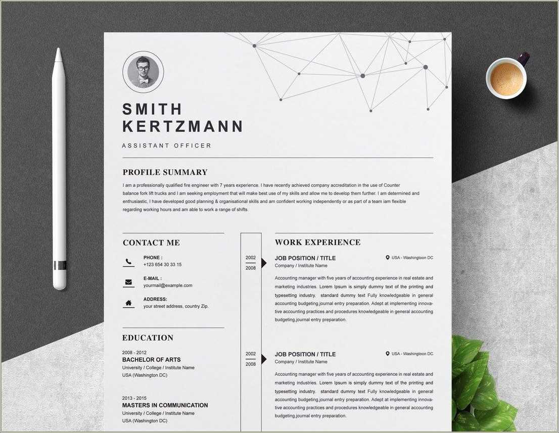 Best Professional Resume Template Free