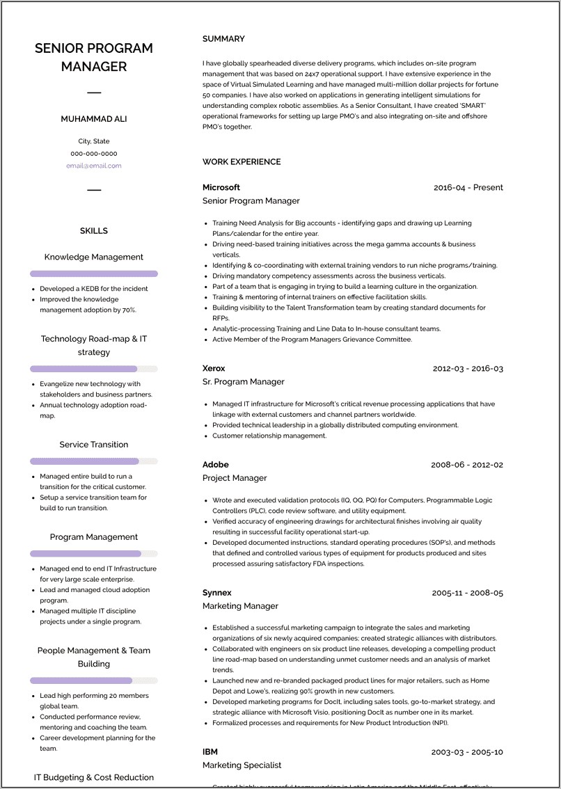 Examples of program manager resume resume example gallery