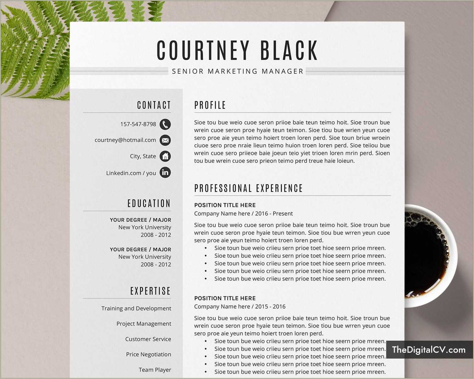 Best Resume Format For Fresh Graduate Resume Example Gallery