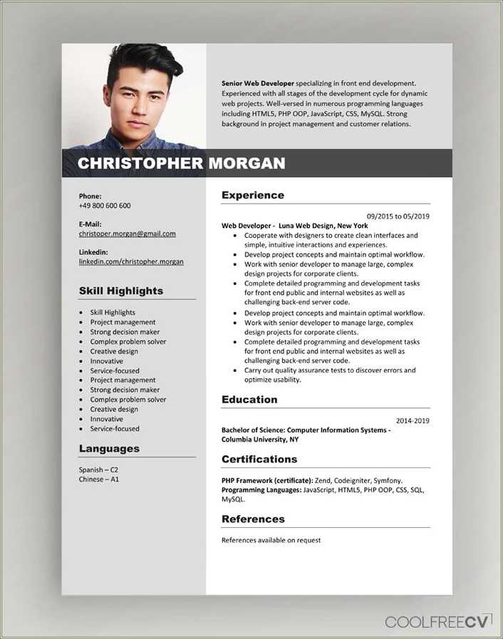 Best Resume Format For Interview - Resume Example Gallery