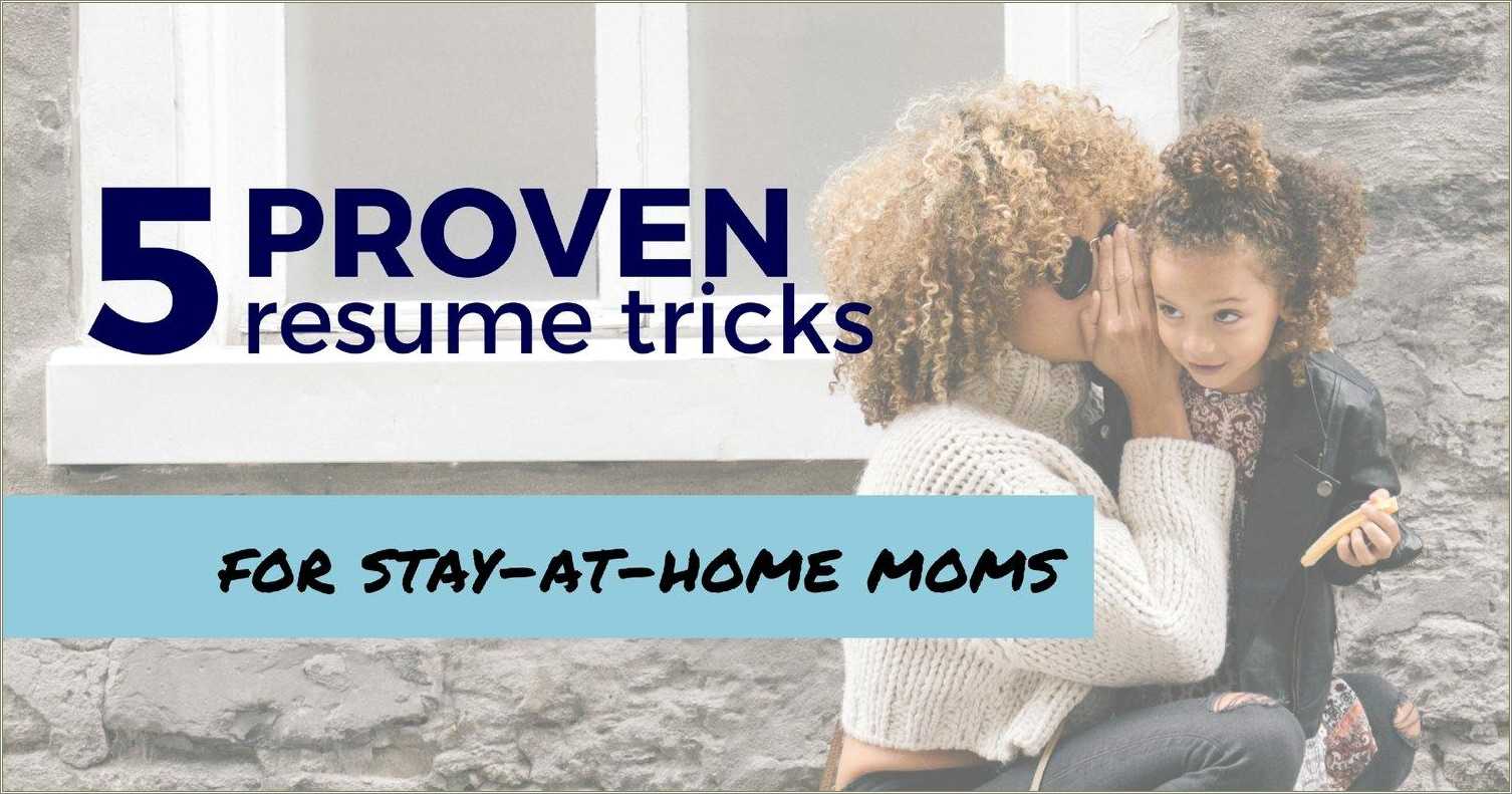 Best Stay At Home Mom Resume Example