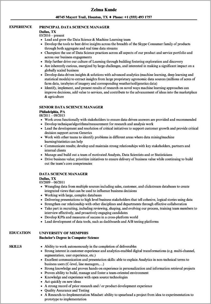 Big Data Project Manager Resume - Resume Example Gallery