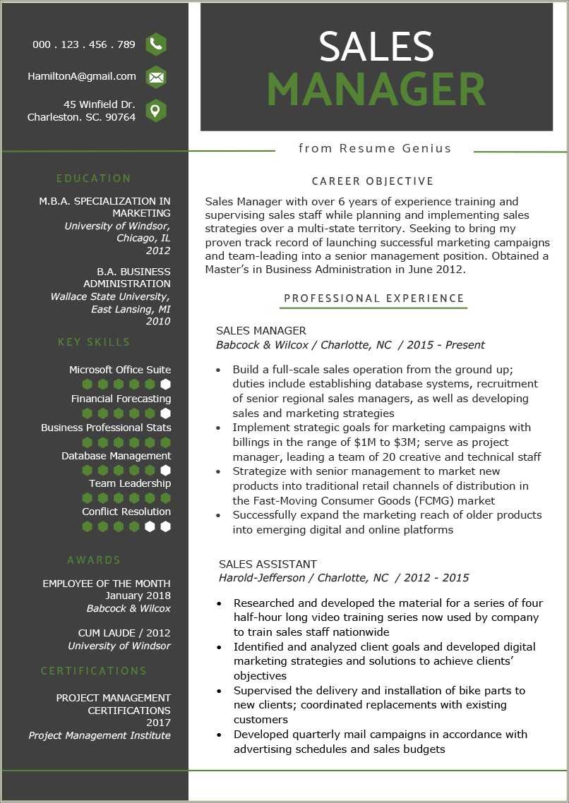 Autozone Commercial Sales Manager Resume Resume Example Gallery
