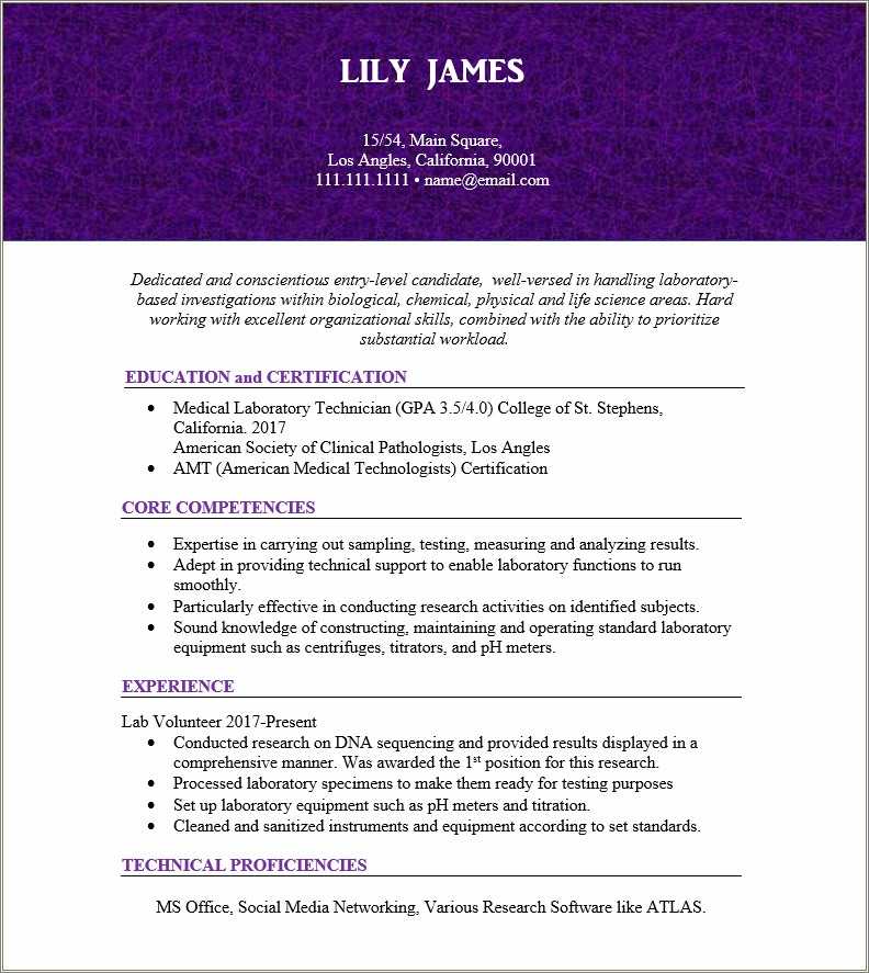 Computer Lab Assistant Resume Samples