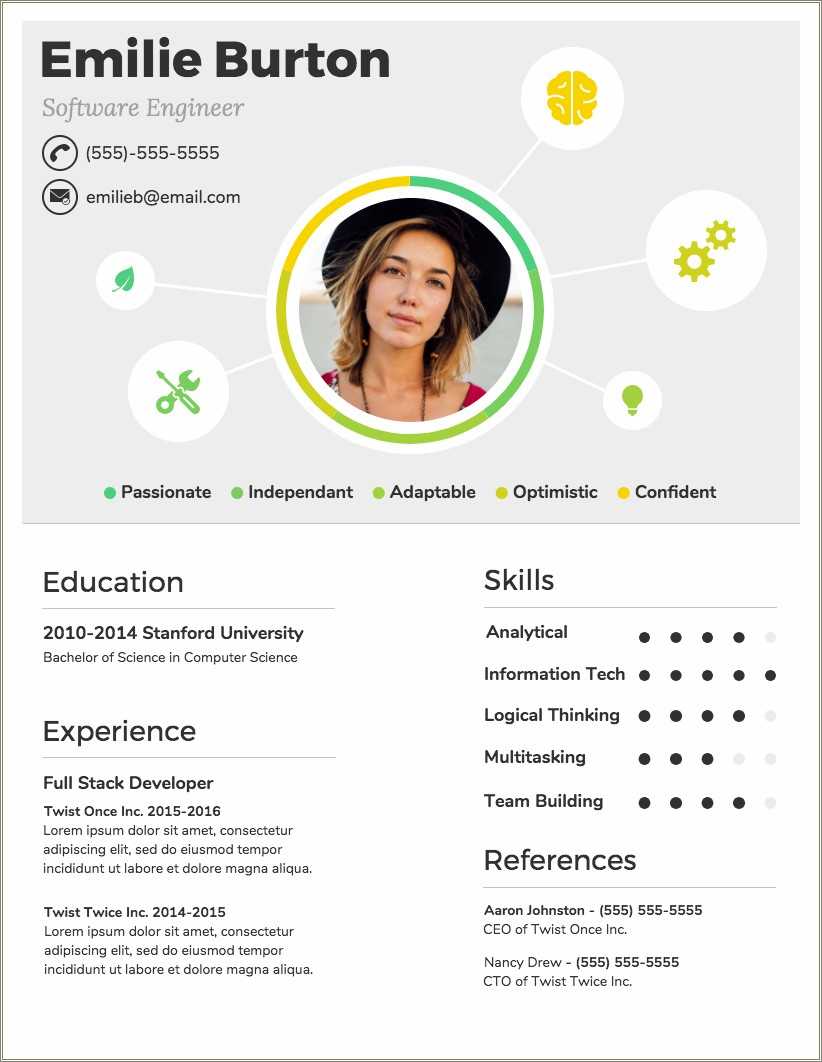 Computer Mapping Experience Resume Example