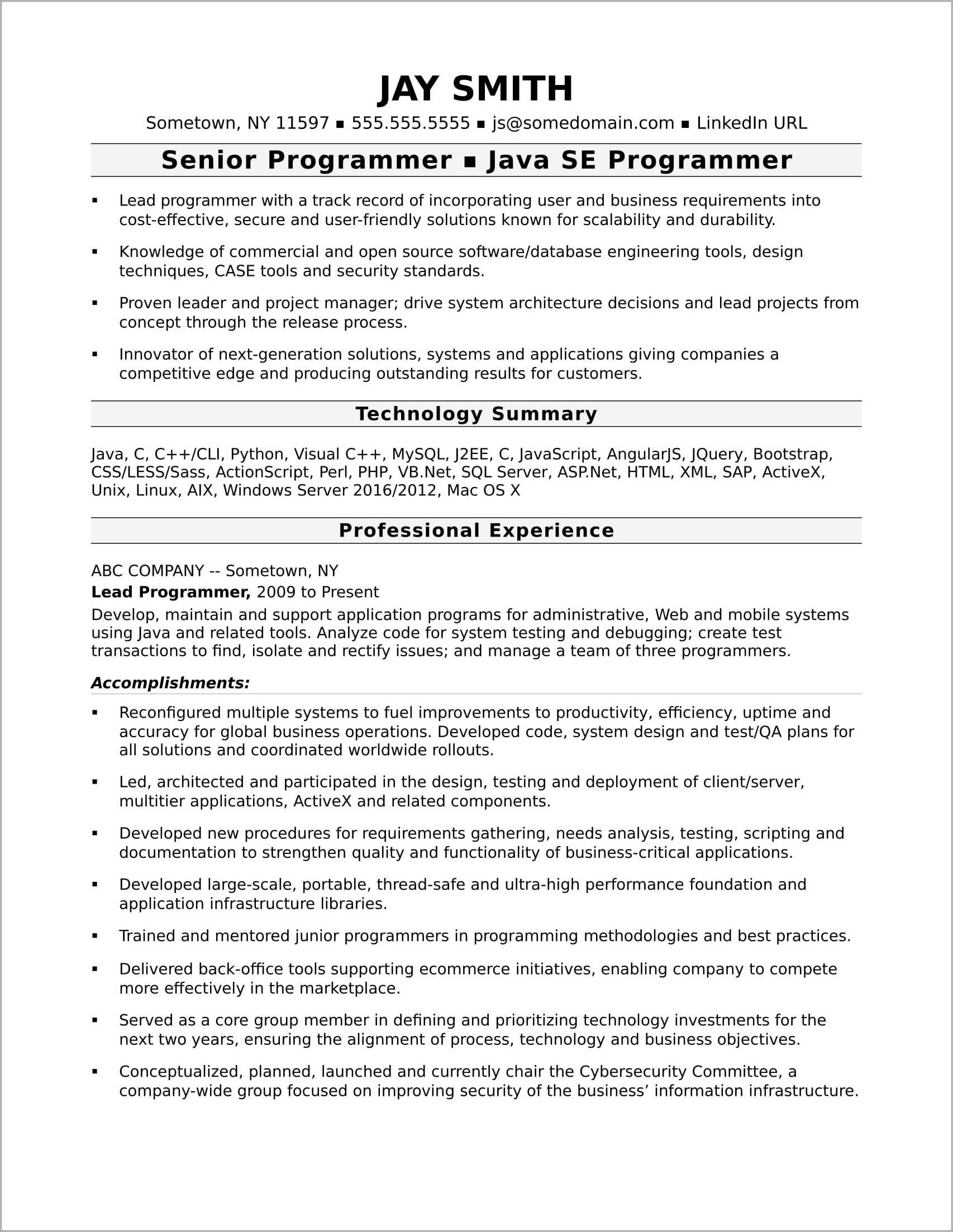Computer Programmer Resume Sample Undergraduate