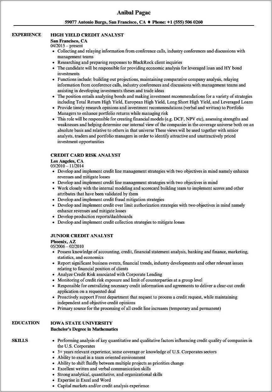 Credit And Collections Analyst Resume Sample