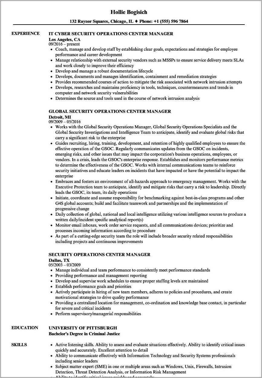big picture thinking resume