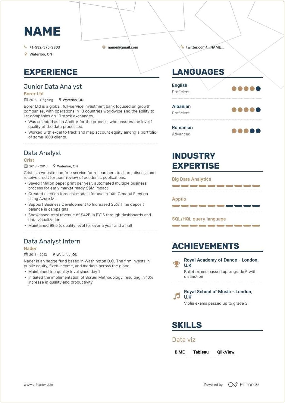 Cyber Security Student Resume Sample