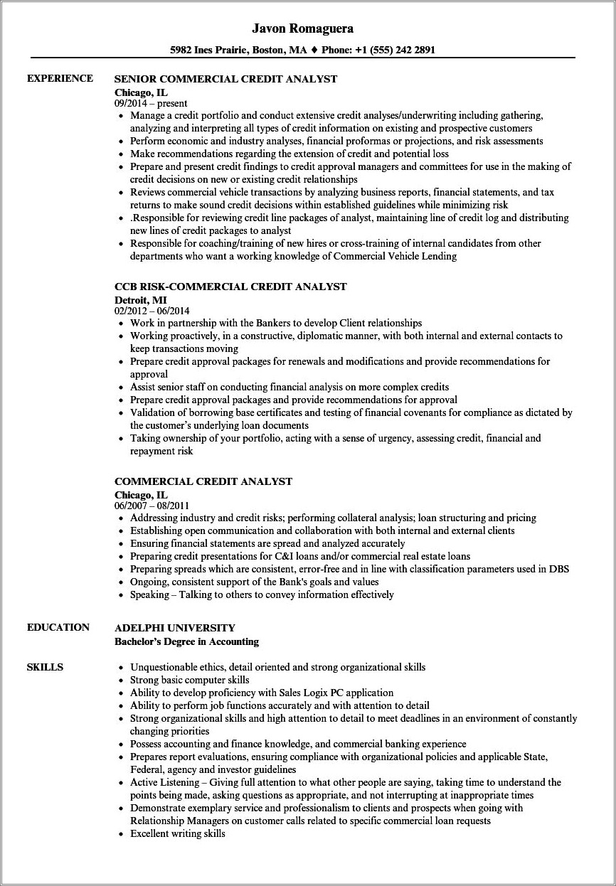 Entry Level Credit Analyst Resume Sample