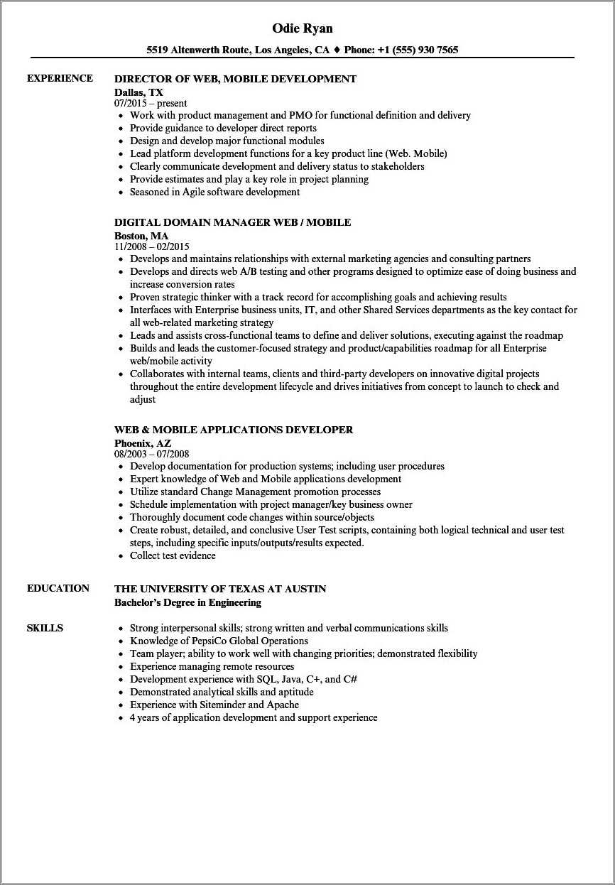 Example Of Applicant Resume Format