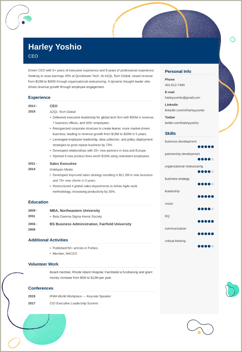 Example Of Ceo Resume Website