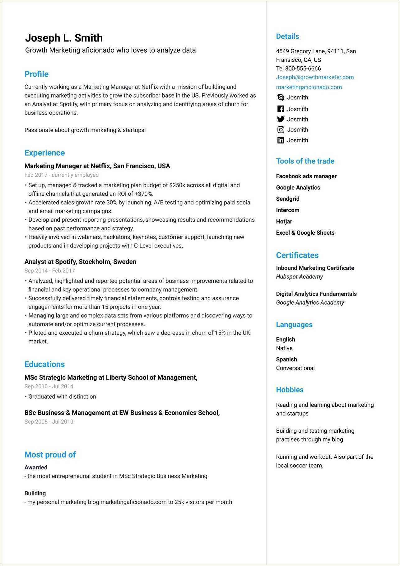 Marketing Manager Resume Summary Examples Resume Example Gallery