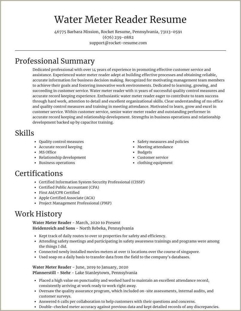 Example Resume For Meter Reader Resume Example Gallery