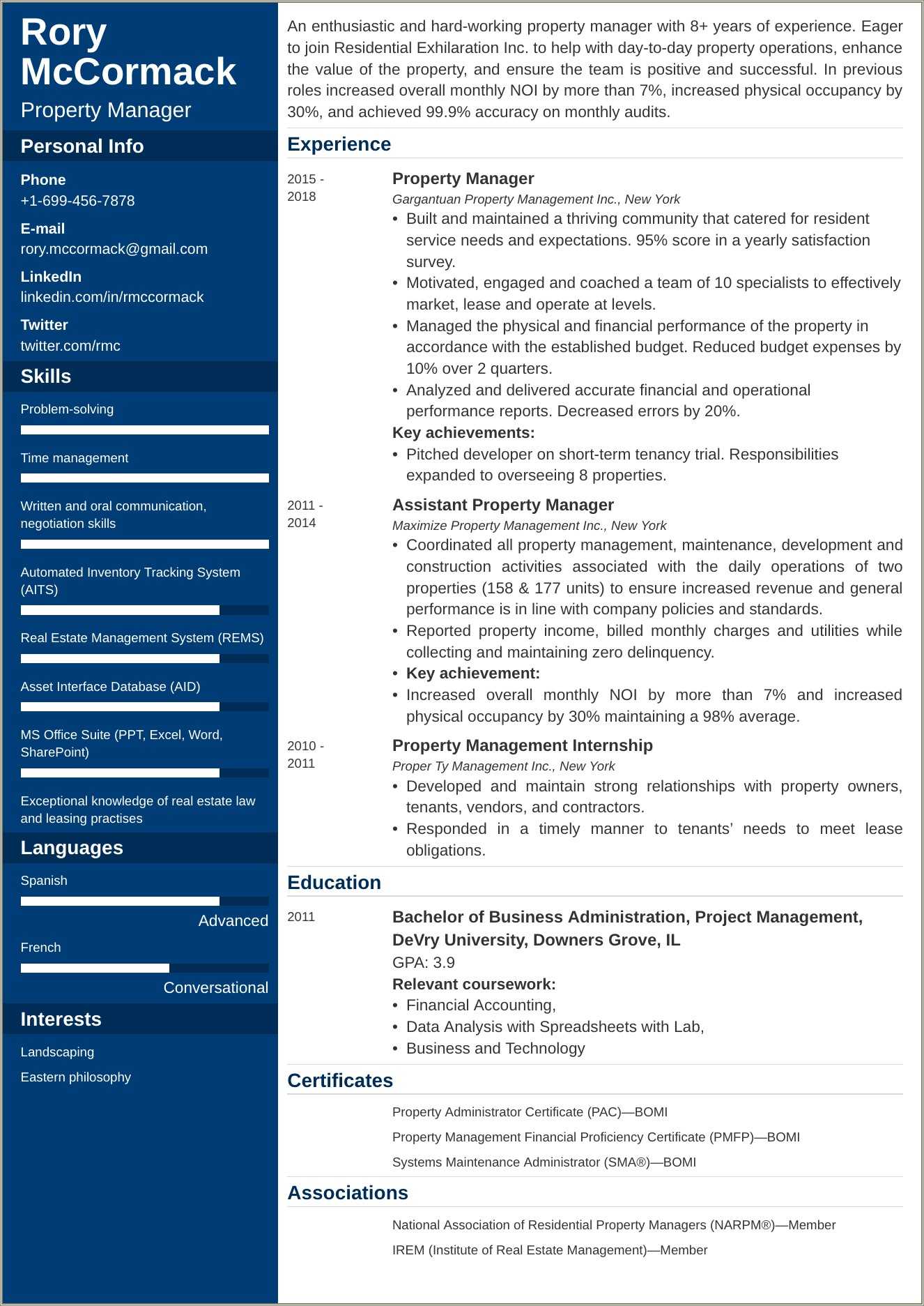 Executive Director Resume Objective Examples Resume Example Gallery