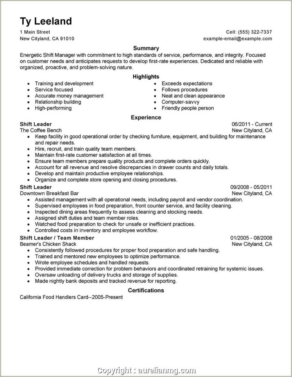 Fast Food Assistant Manager Resume Sample