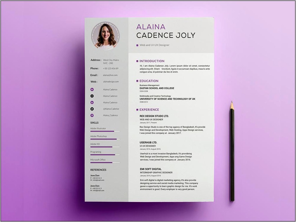 Free Professional Business Resume Template