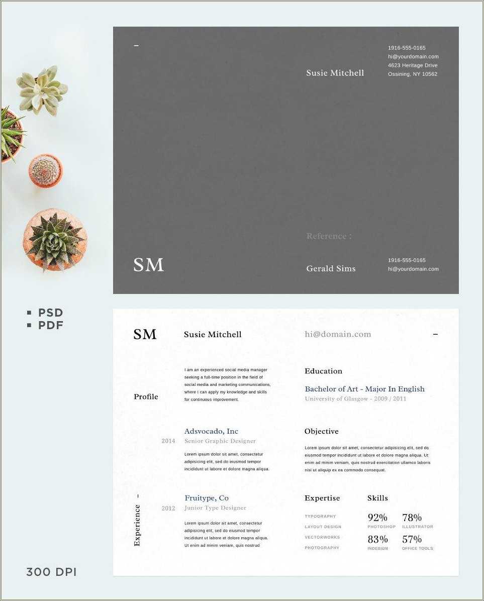 Free Professional Resume Template 2014