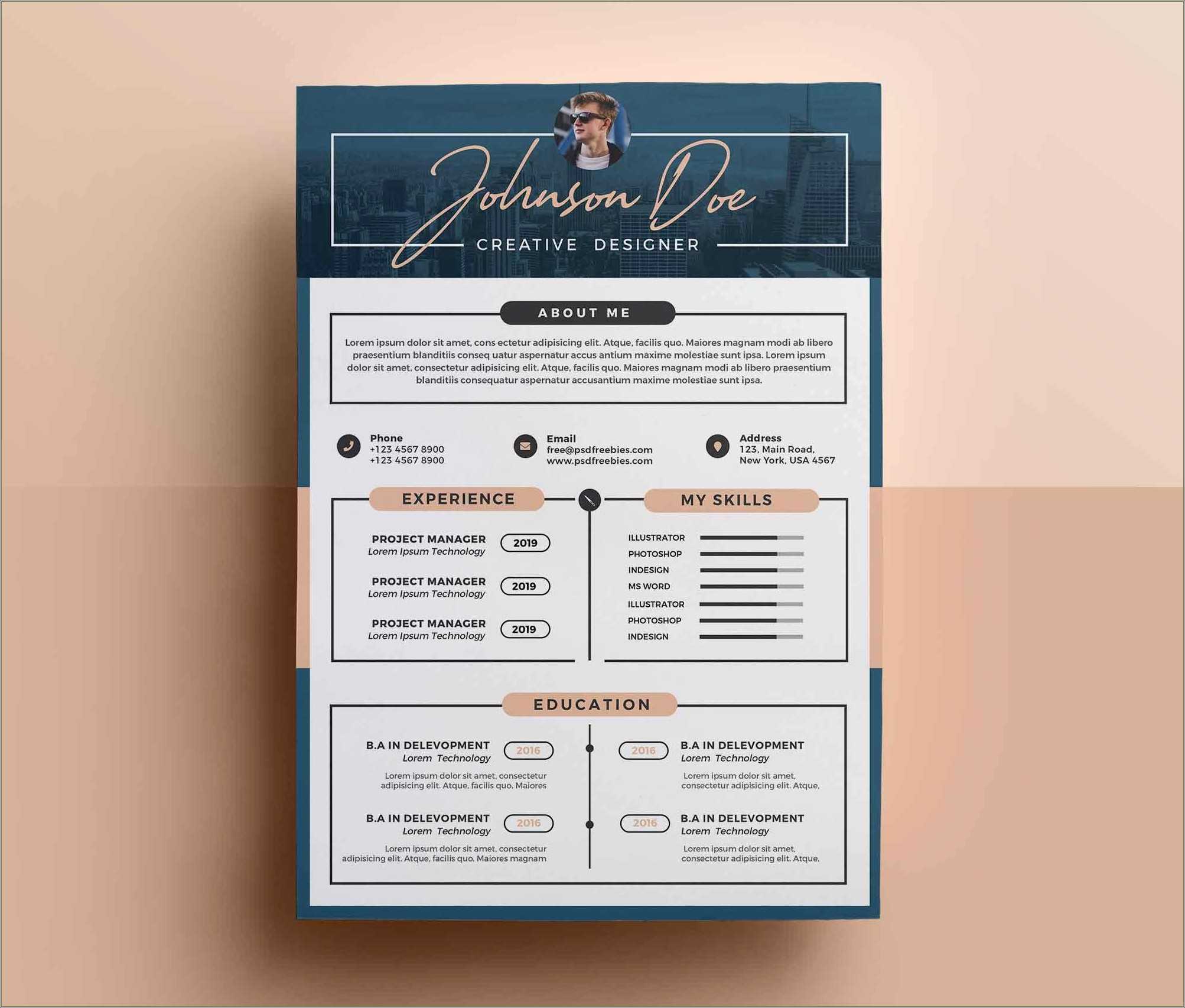 Free Professional Resume Template Psd