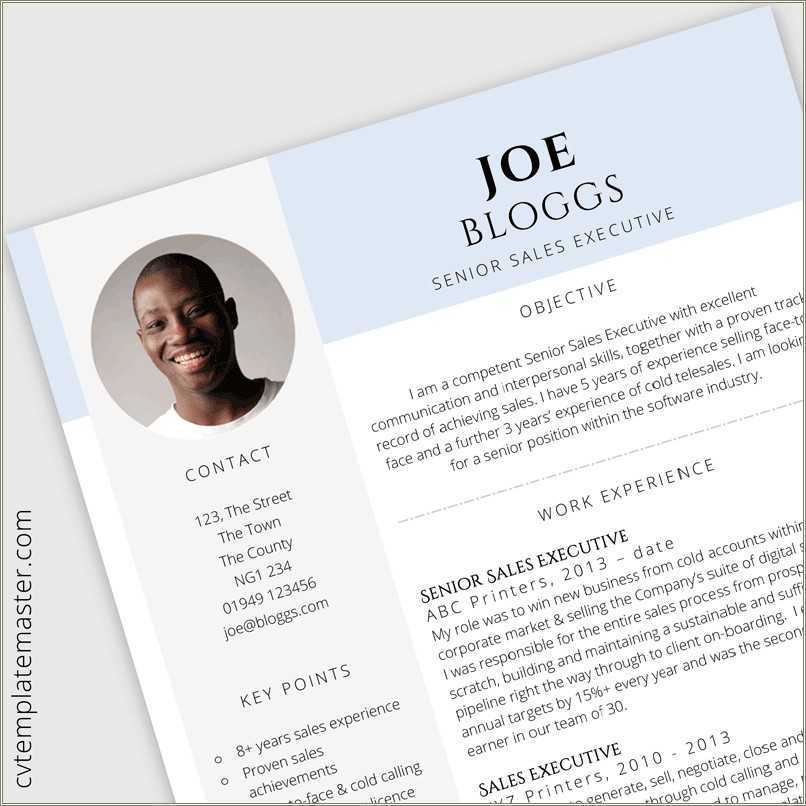 Free Resume Templates Sales Manager Resume Example Gallery