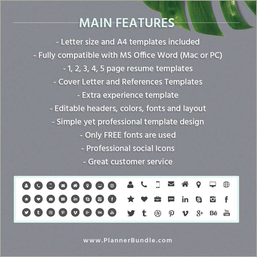 Free Word Resume Template Professional
