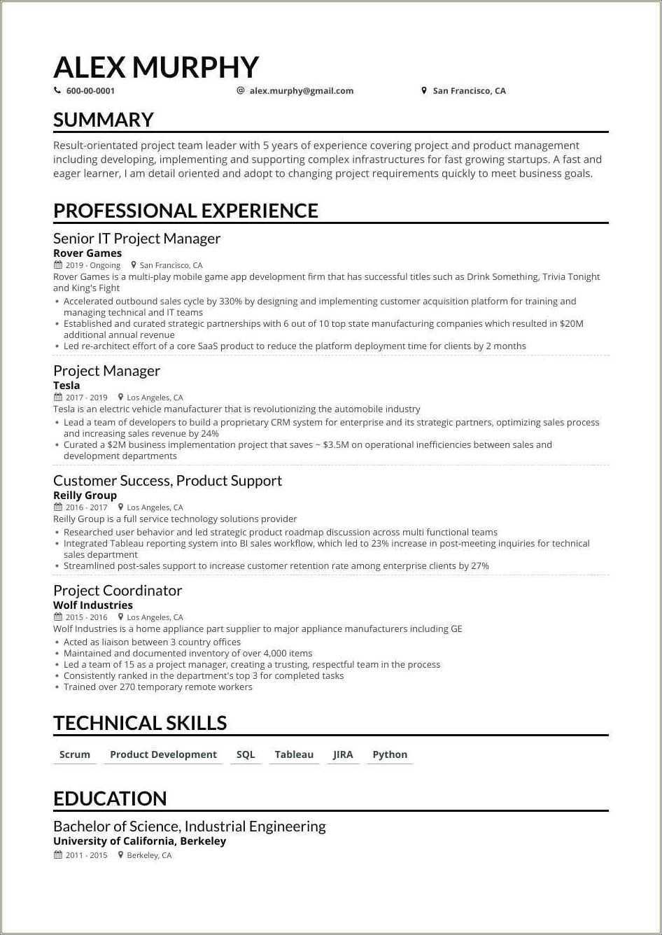 project manager functional resume