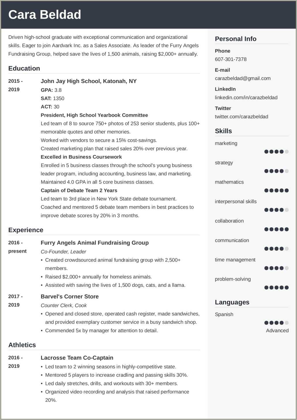 Good Resume Summary For High School Student Resume Example Gallery