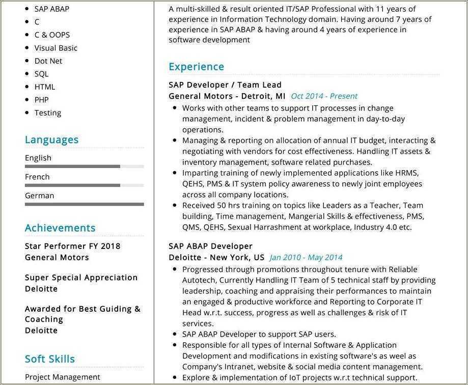 Great It Resume Example Management Information Systems