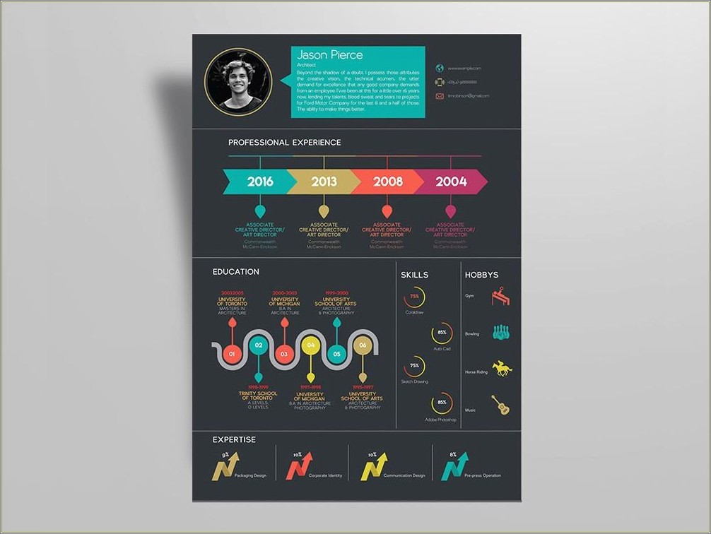 Infographic Resume Template Free Word Resume Example Gallery