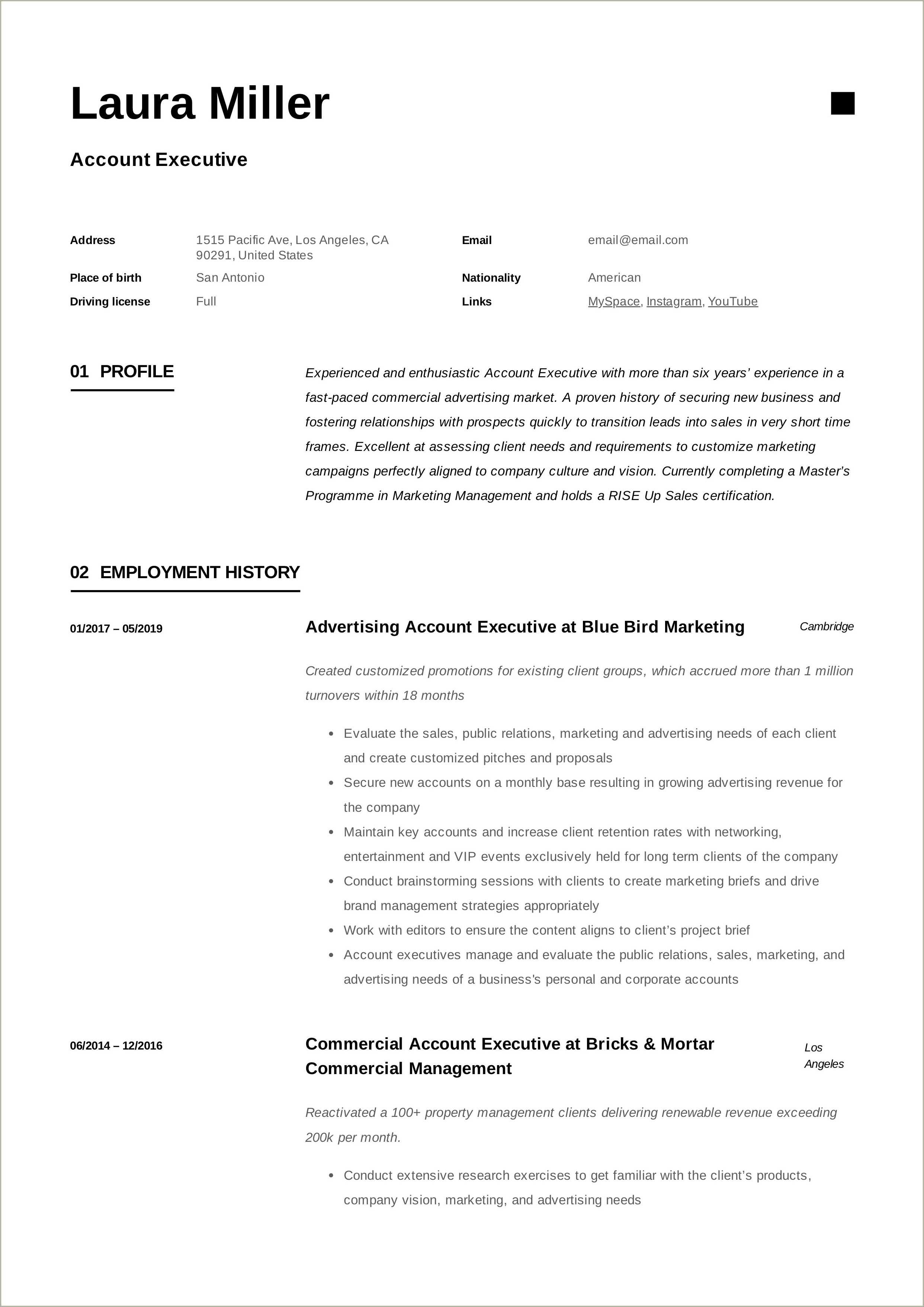 Insurance Account Executive Resume Examples