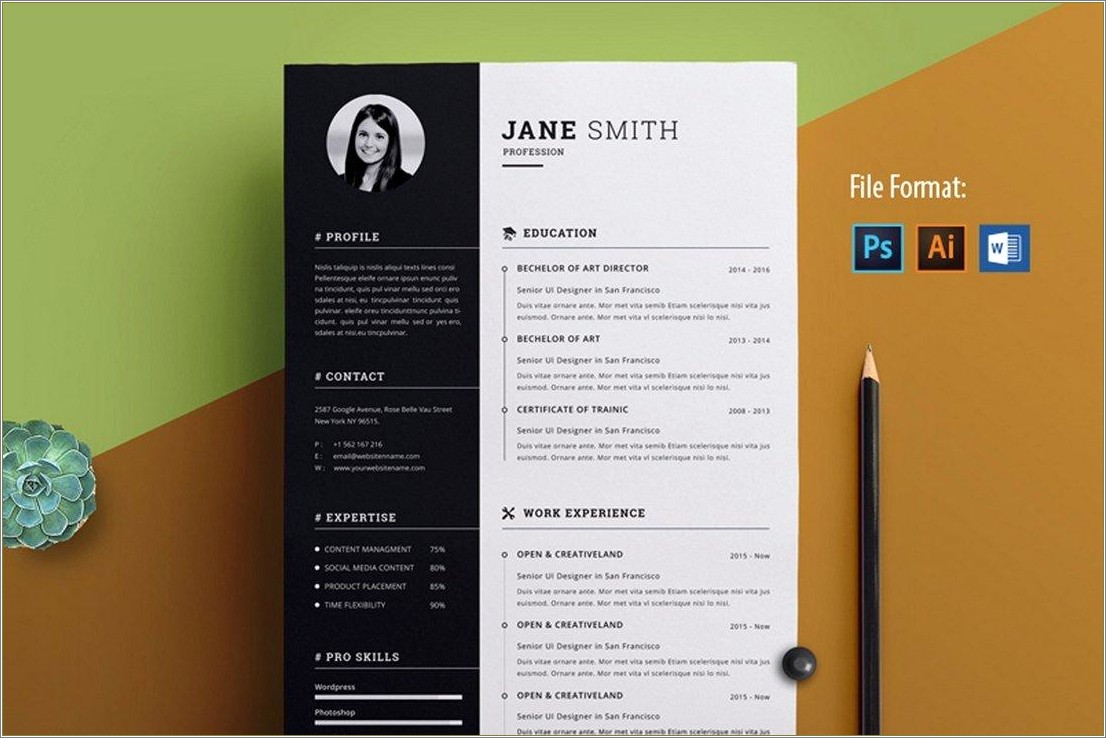 It resume template word free resume example gallery