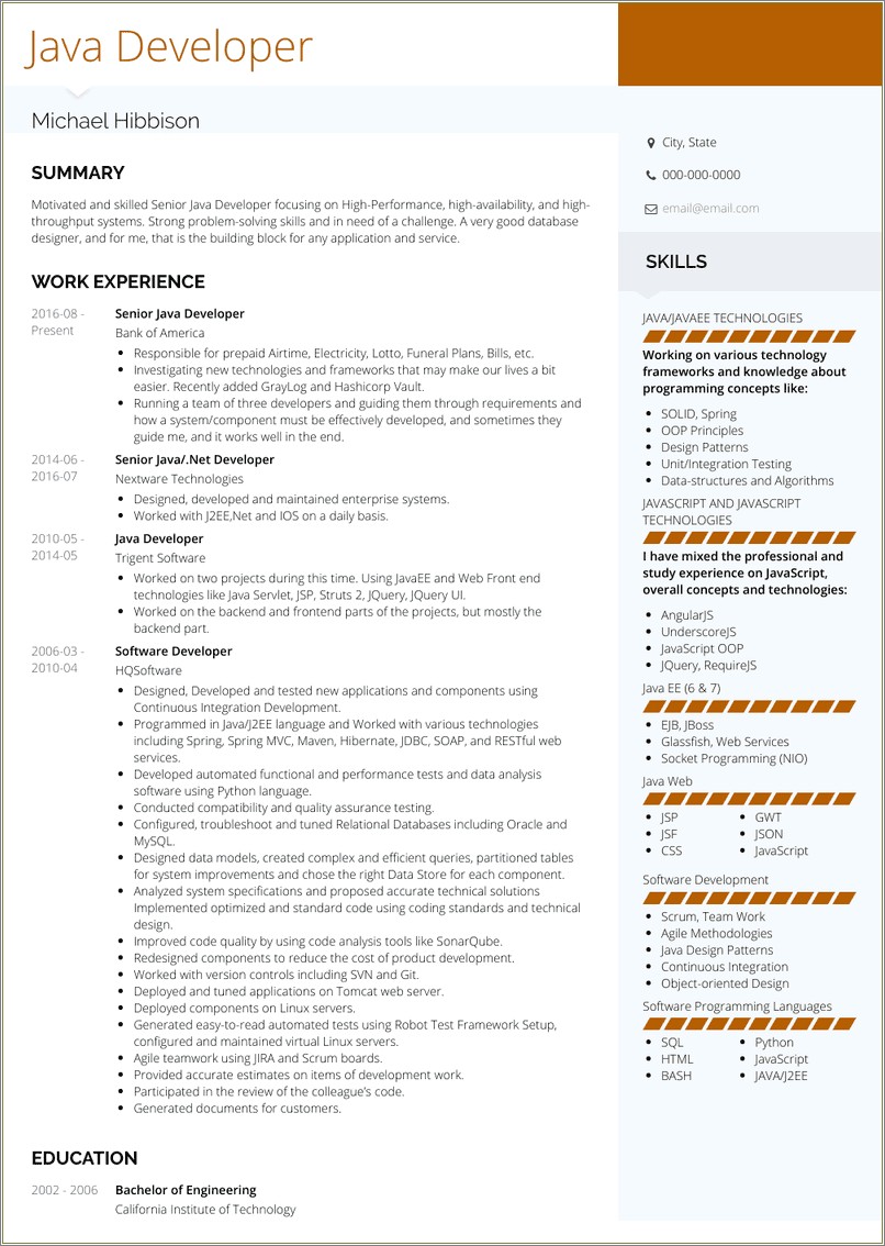 Java Resume Sample One Year