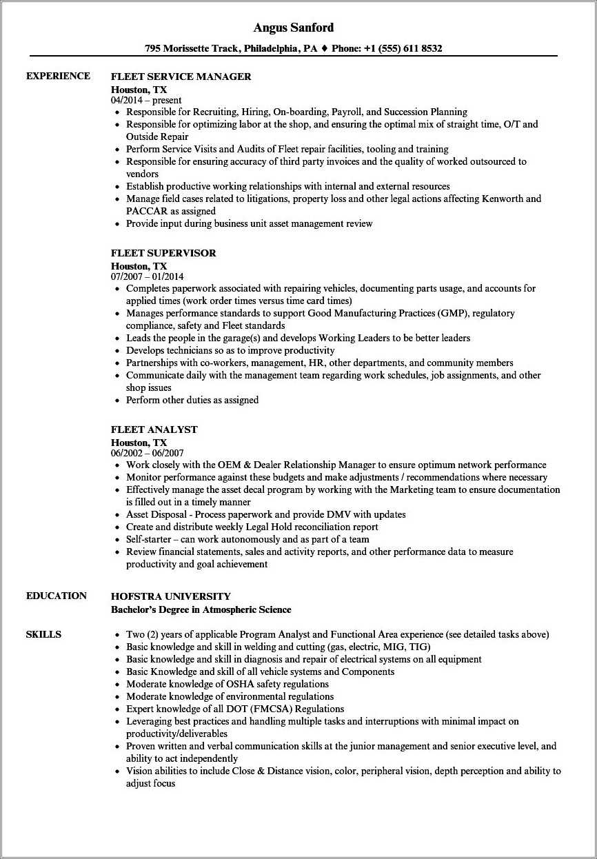 Maven Car Rental Resume Sample Resume Example Gallery