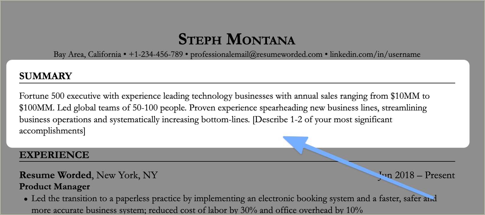 most-common-resume-opening-statement-examples-resume-example-gallery