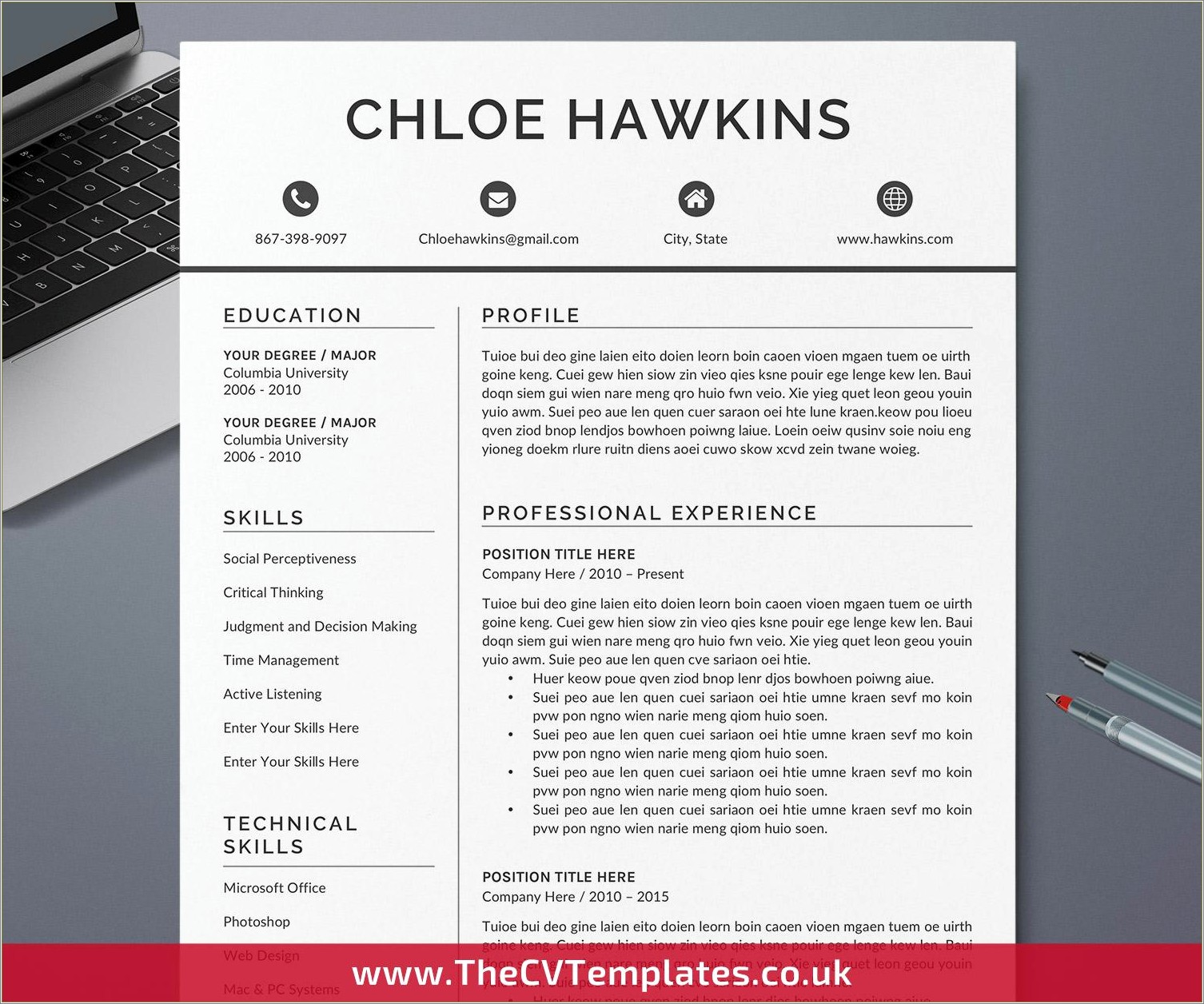 Ms Word Professional Resume Sample Resume Example Gallery