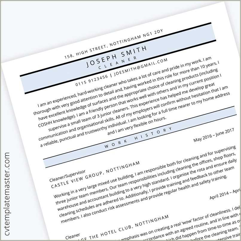 Personal Summary For Manager Resume - Personal Summary Examples For Resumes 